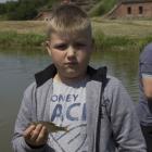 zdjęcie nr 21