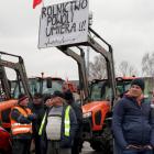zdjęcie nr 9