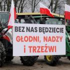 zdjęcie nr 10