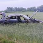 Fotka nr 3 z 6