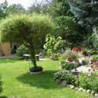 zdjęcie nr 53