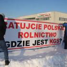 zdjęcie nr 35