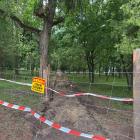 Fot: Materiały redakcyjne 