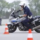 Fotka nr 3 z 13