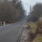zdjęcie nr 8