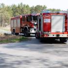 Fotka nr 3 z 12