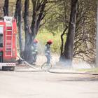 zdjęcie nr 16