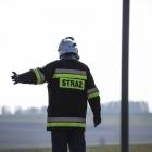 Fotka nr 4 z 11