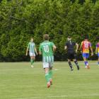 zdjęcie nr 11