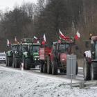 zdjęcie nr 25