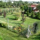 zdjęcie nr 78
