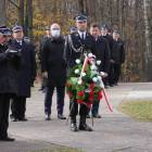 zdjęcie nr 43