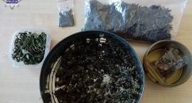 marihuana