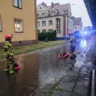 Fot: Komenda Powiatowa Państwowej Straży Pożarnej w Rykach