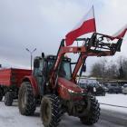 zdjęcie nr 15