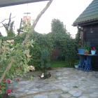 zdjęcie nr 43