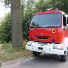 Fotka nr 5 z 6