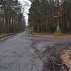 zdjęcie nr 15