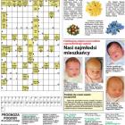 zdjęcie nr 23