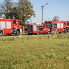 Fotka nr 1 z 11