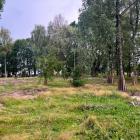 Fot: Materiały redakcyjne