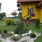 zdjęcie nr 31