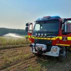 Fotka nr 1 z 5
