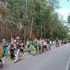 zdjęcie nr 24