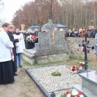 zdjęcie nr 14