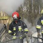Fotka nr 4 z 18