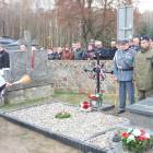 zdjęcie nr 13