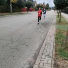 Fotka nr 0 z 15