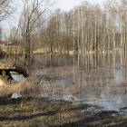 zdjęcie nr 33