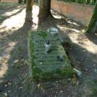 zdjęcie nr 7