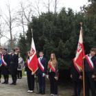 zdjęcie nr 11