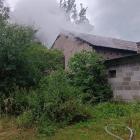 Fotka nr 5 z 7