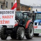 zdjęcie nr 24