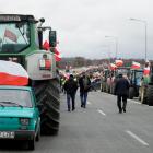 zdjęcie nr 48