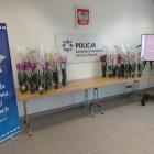 Fot: KPP w Rykach
