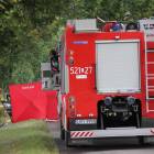 Fotka nr 4 z 10