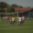 zdjęcie nr 12