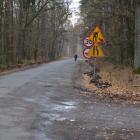 zdjęcie nr 12