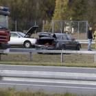 zdjęcie nr 14