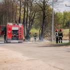zdjęcie nr 17