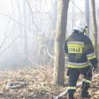 Fotka nr 3 z 14