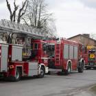 Fotka nr 2 z 17
