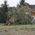 zdjęcie nr 47