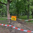 Fot: Materiały redakcyjne 