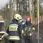 Fotka nr 3 z 18