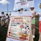 zdjęcie nr 11